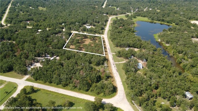 TBD(+/-2acres) Overlook Drive, Caldwell, TX 77836 - photo 10