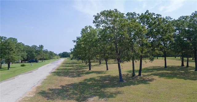 TBD(+/-2acres) Overlook Drive, Caldwell, TX 77836 - photo 12