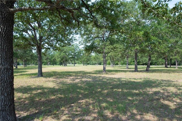 TBD(+/-2acres) Overlook Drive, Caldwell, TX 77836 - photo 6