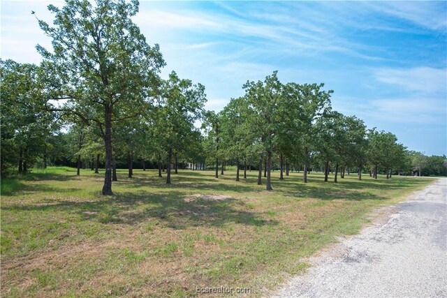 TBD(+/-2acres) Overlook Drive, Caldwell, TX 77836 - photo 7