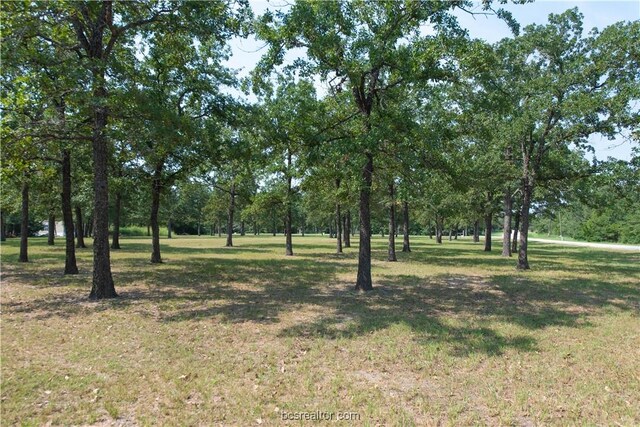 TBD(+/-2acres) Overlook Drive, Caldwell, TX 77836 - photo 4