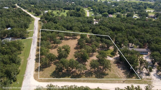 TBD(+/-2acres) Overlook Drive, Caldwell, TX 77836 - photo 8