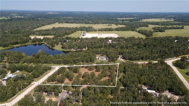 TBD(+/-2acres) Overlook Drive, Caldwell, TX 77836 - photo 9