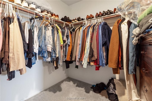 walk in closet with carpet floors