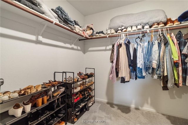 walk in closet featuring carpet floors