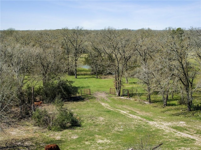 bird's eye view with a rural view