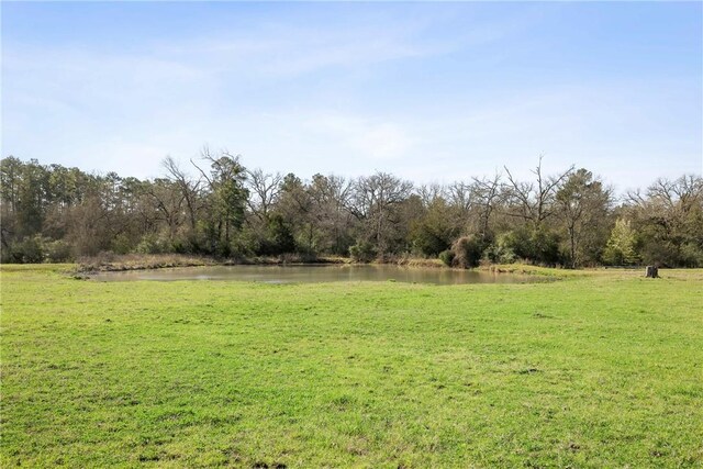 view of yard featuring a water view