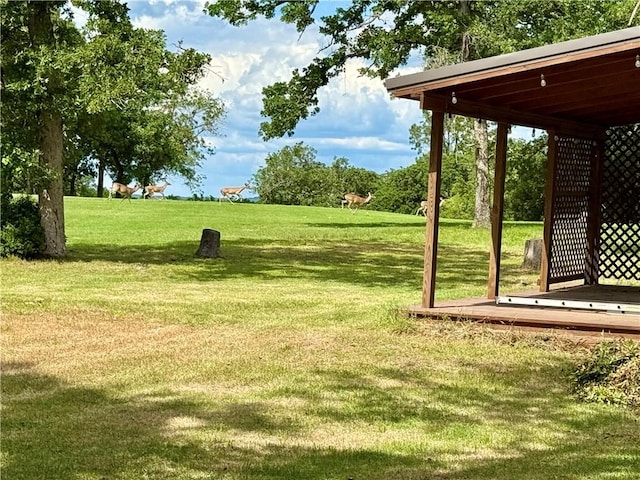 67 Fairway Dr, Hilltop Lakes, TX 77871 - view of grassy yard