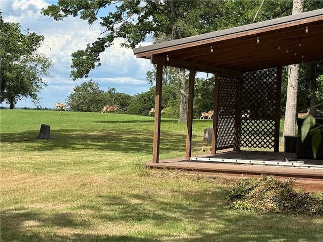 67 Fairway Dr, Hilltop Lakes, TX 77871 - view of grassy yard
