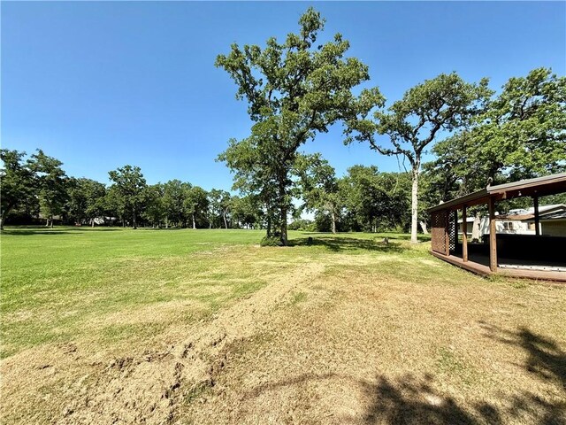 67 Fairway Dr, Hilltop Lakes, TX 77871 - view of green lawn