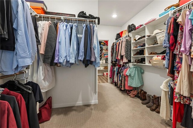6317 Daytona Dr, College Station, TX 77845 - walk in closet featuring carpet flooring