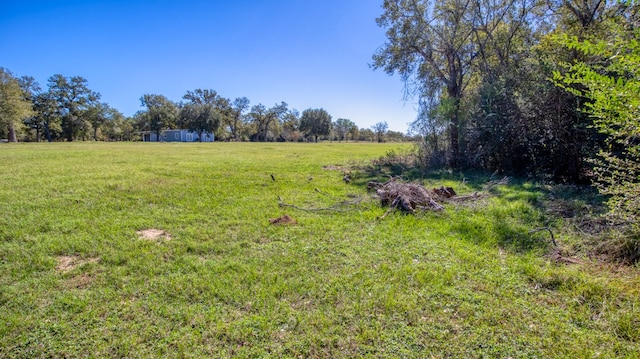 view of yard with a rural view