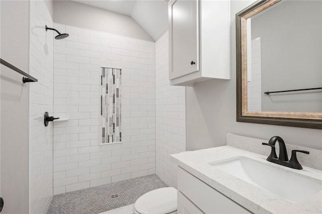 13291 Hopes Creek Rd, College Station, TX 77845 - bathroom with tiled shower, toilet, and vanity