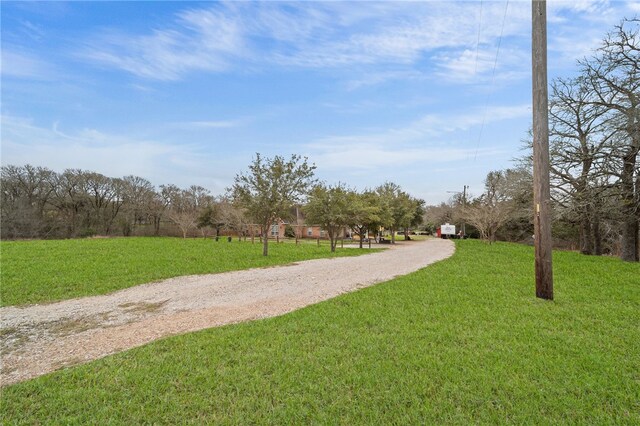 view of property's community with a lawn and driveway