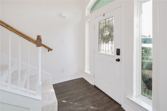 entrance foyer with dark wood-type flooring