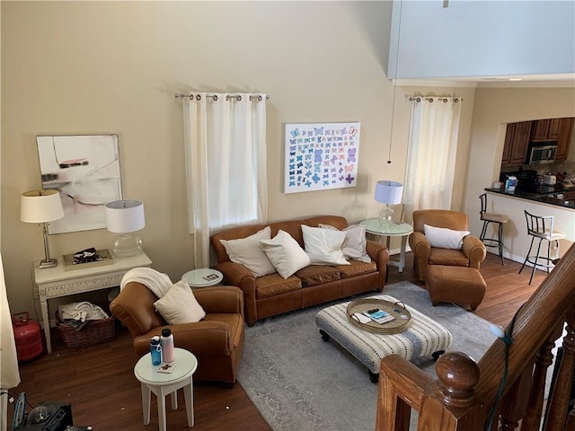 living room with dark hardwood / wood-style floors