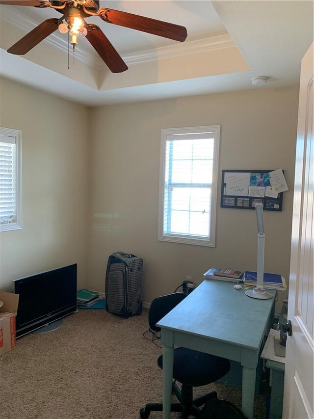 carpeted office with a raised ceiling, ceiling fan, and ornamental molding