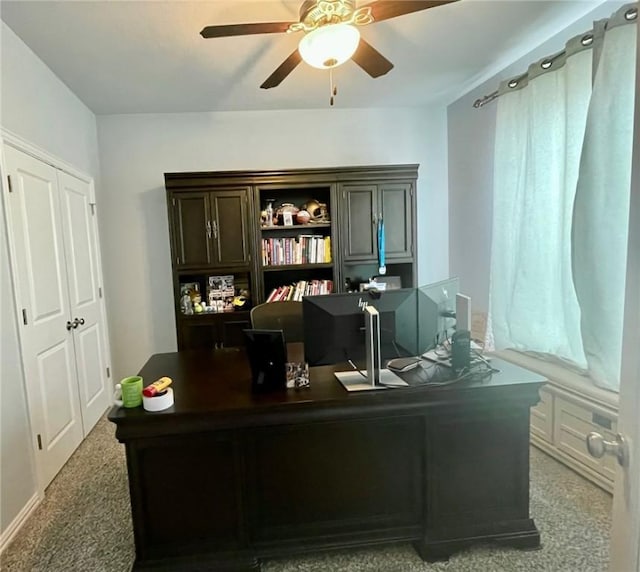 office featuring carpet floors and a ceiling fan