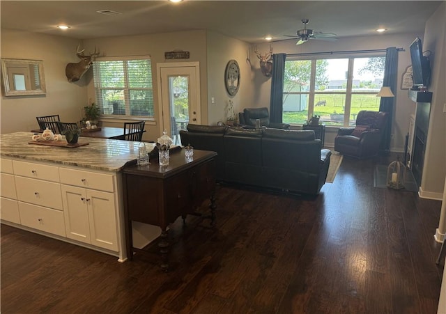 202 N Hearne St, Franklin, TX 77856 - living area with a wealth of natural light, dark wood-type flooring, and a ceiling fan