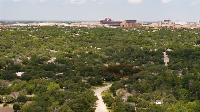 1500 Galde St, College Station, TX 77840 - drone / aerial view of a forest