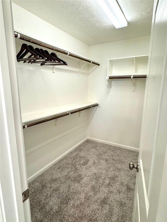 spacious closet with carpet floors