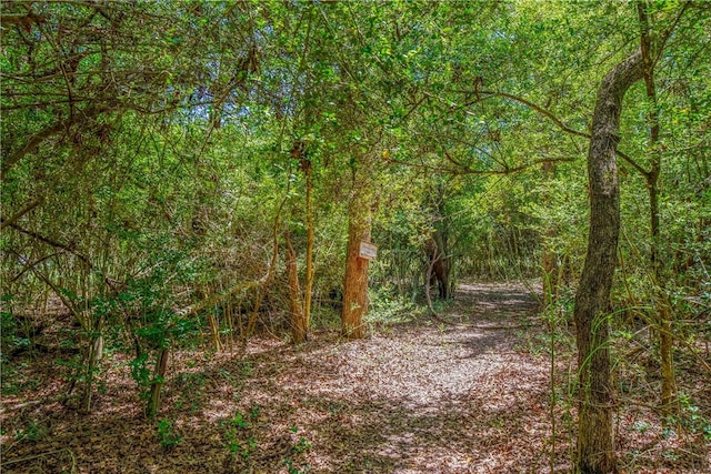 view of landscape featuring a view of trees