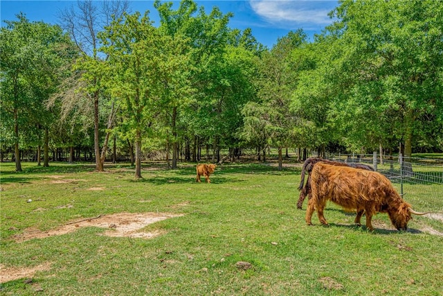 view of home's community with a yard and fence