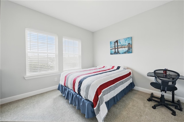 3601 Haskell Hollow Loop, College Station, TX 77845 - photo 22