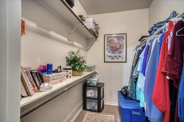 3217 Sergeant Dr, College Station, TX 77845 - photo 9