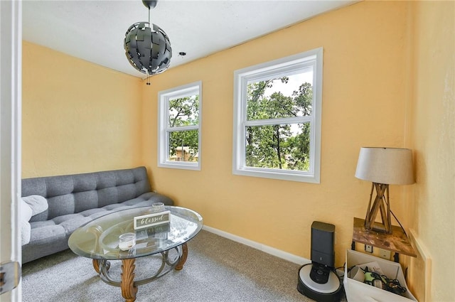 sitting room featuring carpet flooring