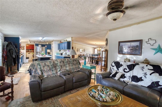 living room with crown molding, a textured ceiling, and light wood-type flooring