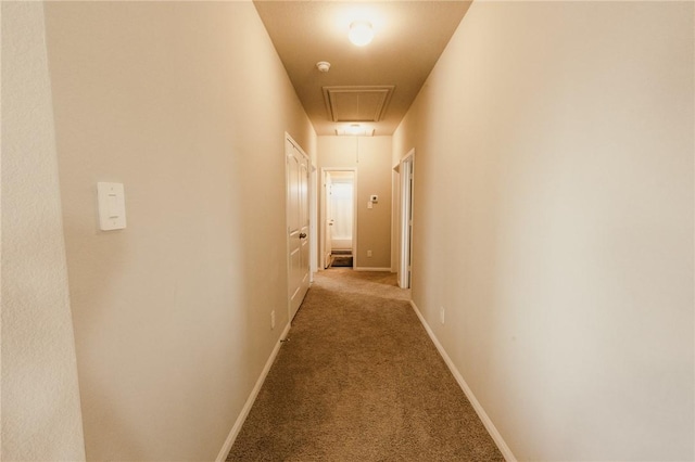 hall featuring baseboards, light colored carpet, and attic access