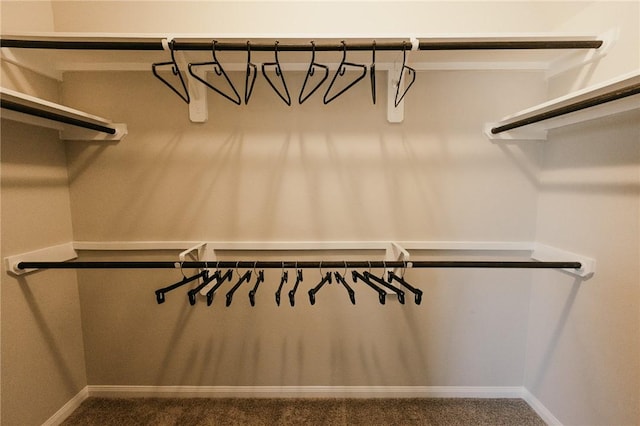 spacious closet with carpet floors