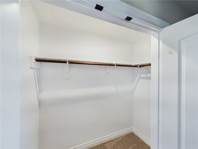 spacious closet featuring carpet flooring