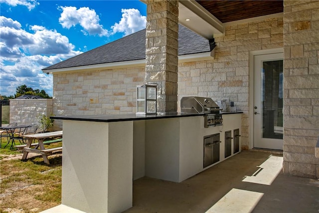 view of patio / terrace with area for grilling and exterior kitchen