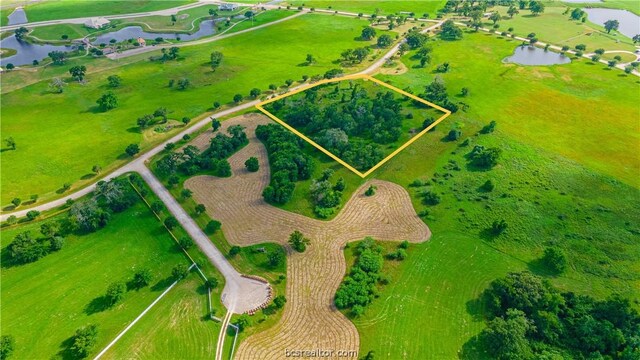 Listing photo 3 for TRACT7-B Lake Victoria Dr, Navasota TX 77868