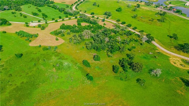 TRACT7-B Lake Victoria Dr, Navasota, TX 77868 - photo 7