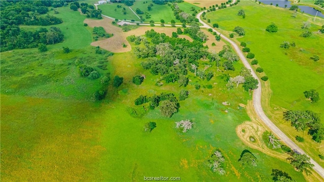 TRACT7-B Lake Victoria Dr, Navasota, TX 77868 - photo 6