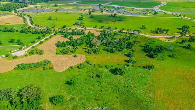 TRACT7-B Lake Victoria Dr, Navasota, TX 77868 - photo 8