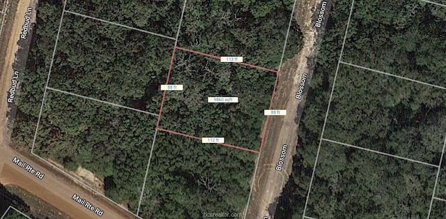 LOT15 Blossom Ln, Hilltop Lakes TX, 77871 land for sale