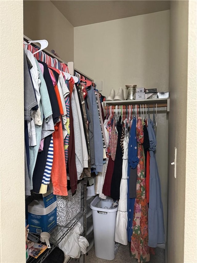 152 Forest Dr, College Station, TX 77840 - view of walk in closet