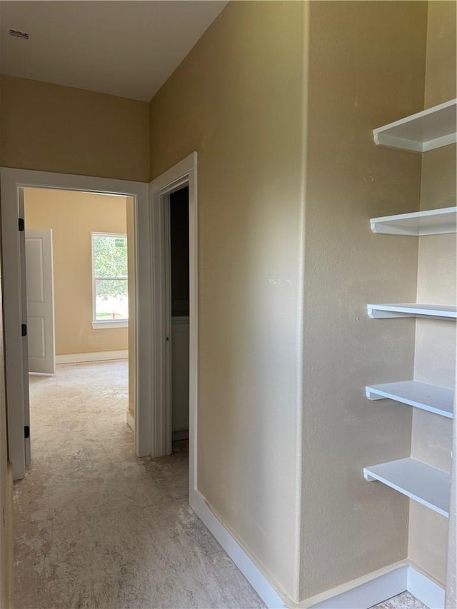 807 S Coulter Dr, Bryan, TX 77803 - hall with light colored carpet and baseboards
