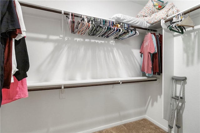 walk in closet with carpet flooring