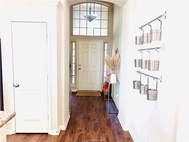 15313 Lowry Meadow Ln, College Station, TX 77845 - foyer featuring wood finished floors and baseboards
