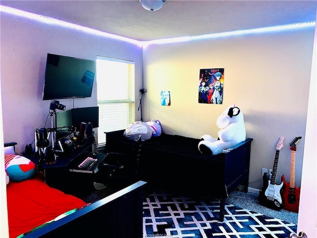15313 Lowry Meadow Ln, College Station, TX 77845 - view of carpeted bedroom