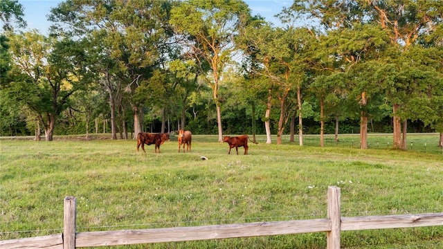2355 Jackson League Cir, Brenham, TX 77337 - view of yard featuring a view of countryside