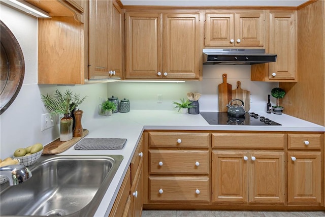 kitchen featuring under cabinet range hood, black electric cooktop, light countertops, and a sink