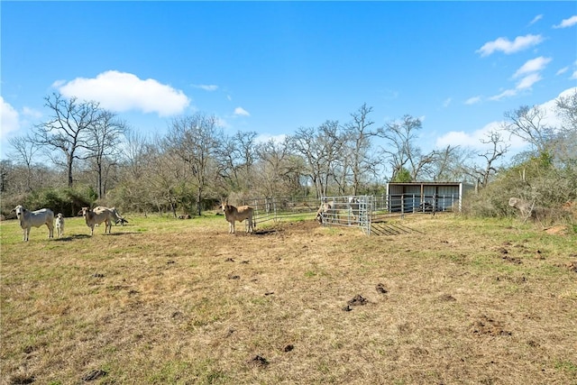 22349 Fm 359th Rd, Hempstead, TX 77445 - view of yard with an exterior structure, a rural view, and an outdoor structure