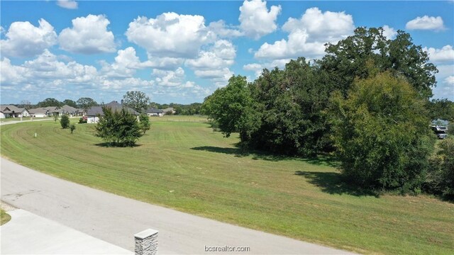 10289 Henley Cv, Iola, TX 77861