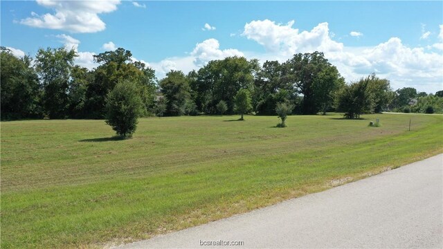 10289 Henley Cv, Iola, TX 77861